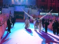 Madia_LIFEBALL-2011_Foto_Lifeball-Wien