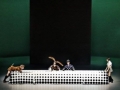 Madia_ALICES-WONDERLAND_12
