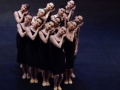 Madia_BOLERO_09