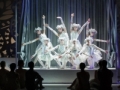 Madia_COPPELIA_Foto_Michal_Matuszak_DSC0083