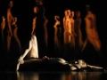 Madia_NUDO_18