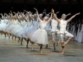 Madia_Opernball_2009_1288_Foto_Wiener_Staatsoper_Axel_Zeininger