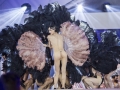 2017 - Life Ball Eröffnung/Life Ball Opening Show