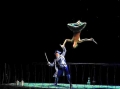 madia_peter-pan_01_tuned