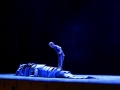 madia_peter-pan_07