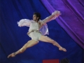 Madia_LIFEBALL-2011_Foto_Lifeball-Wien