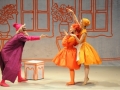 Madia_HARLEKIN_Foto_Marlies_Kross_03