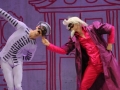 Madia_HARLEKIN_Foto_Marlies_Kross_14