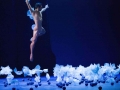 prm_0446_giorgio-madia_midsummernightsdream_smallsize